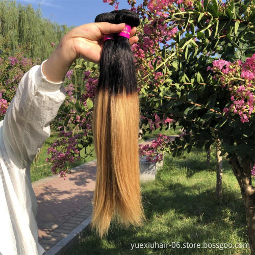 High Quality Double Drawn Brazilian Human Hair Bundles 1B 27 ombre colored Hair Extensions straight Bundles